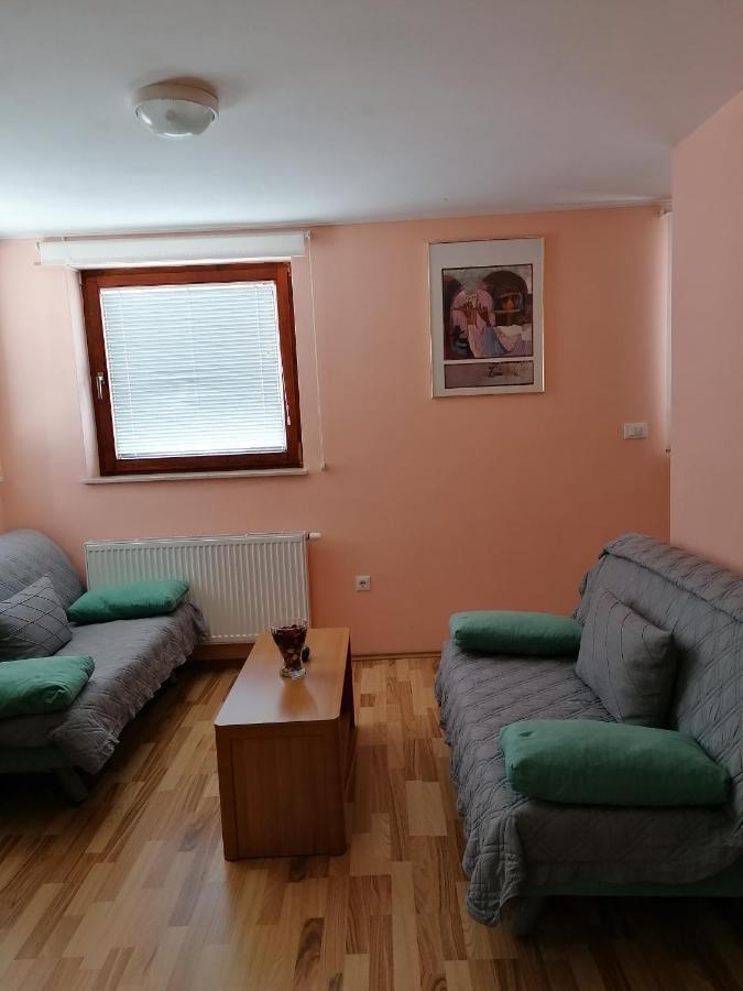 Apartment Modrina Kobarid Bagian luar foto